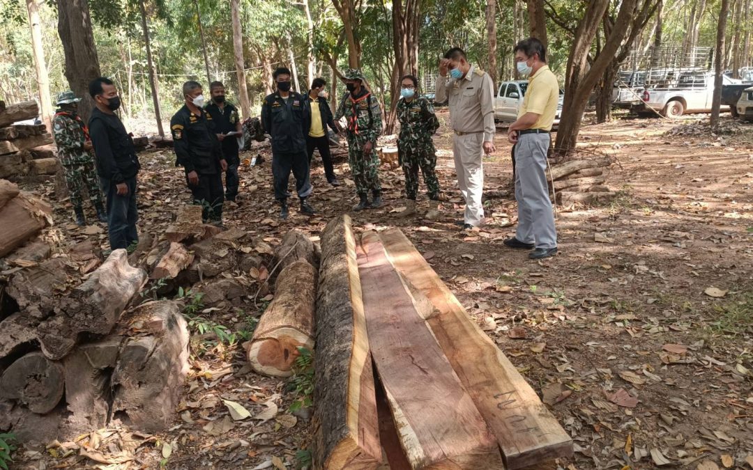 วันที่ 24 มกราคม​ 2565 อุทยานแห่งชาติเขาพระวิหาร จับกุมผู้กระทำผิดลักลอบทำไม้
