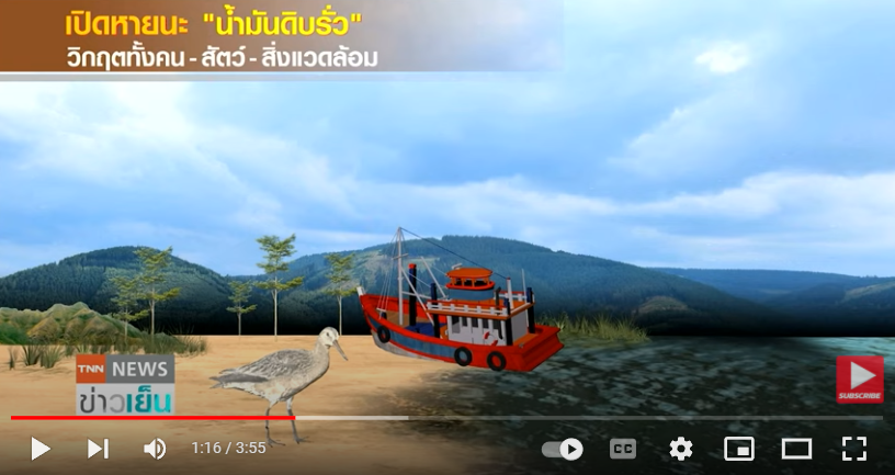 เปิดหายนะ “น้ำมันดิบรั่ว” ระยอง วิกฤตทั้งคน-สัตว์-สิ่งแวดล้อม