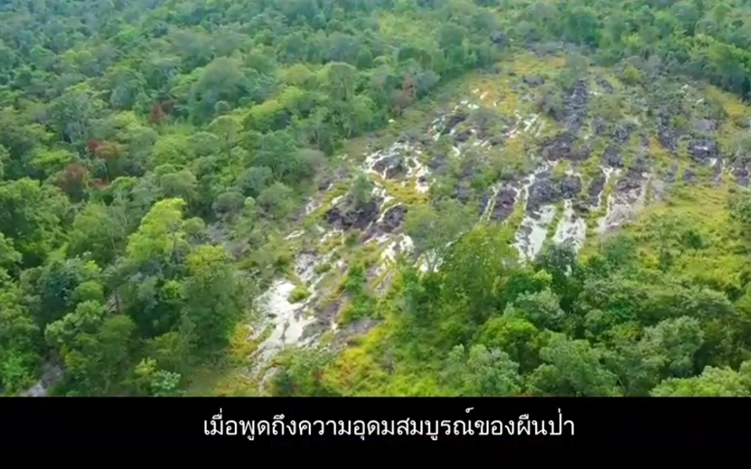 ความอุดมสมบูรณ์ ขสป.พนมดงรัก