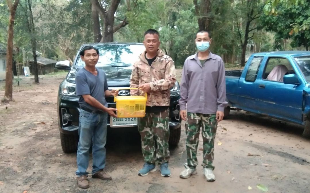 ส่วนอนุรักษ์สัตว์ป่า ตรวจสอบและช่วยเหลือสัตว์ป่าที่ได้รับแจ้งเหตุ