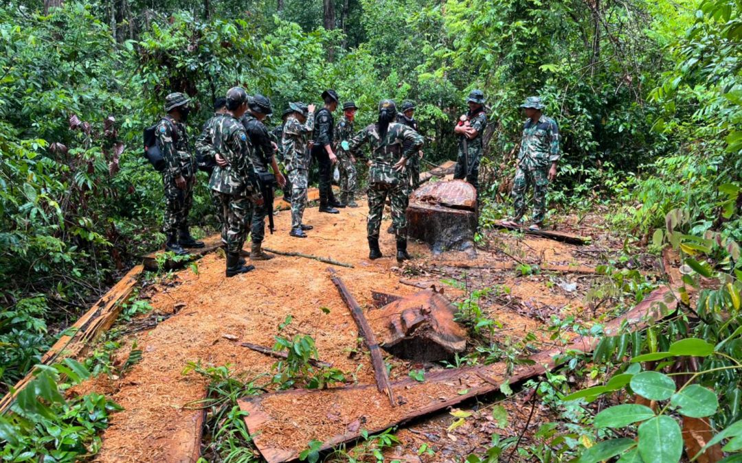 วันที่  22  เมษายน​ 2565 อุทยานแห่งชาติเขาพระวิหาร ตรวจยึดไม้กระบากในพื้นที่