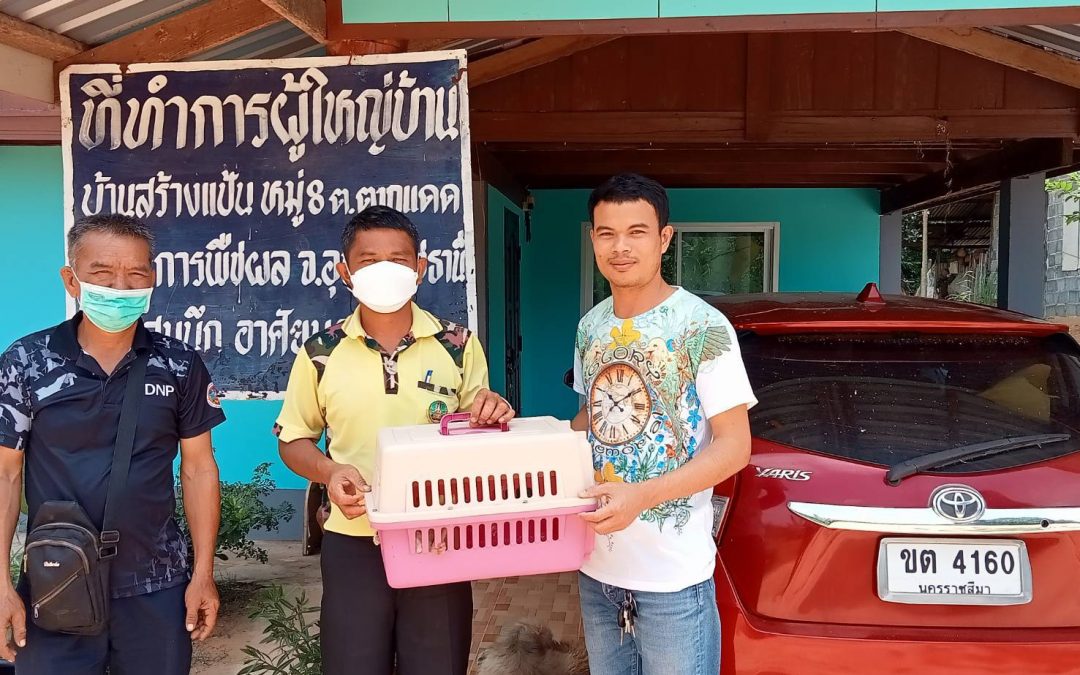 วันที่​ 18 พฤษภาคม​ 2565 ส่วน​อนุรักษ์​สัตว์ป่า​ ดำเนินการตรวจสอบและช่วยเหลือสัตว์ป่าที่ได้รับแจ้งเหตุ