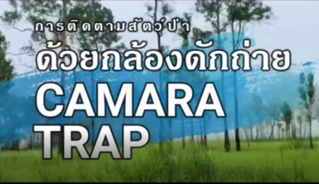 ขสป.พนมดงรัก ติดตามสัตว์ป่า ด้วยกล้อง NCAPs