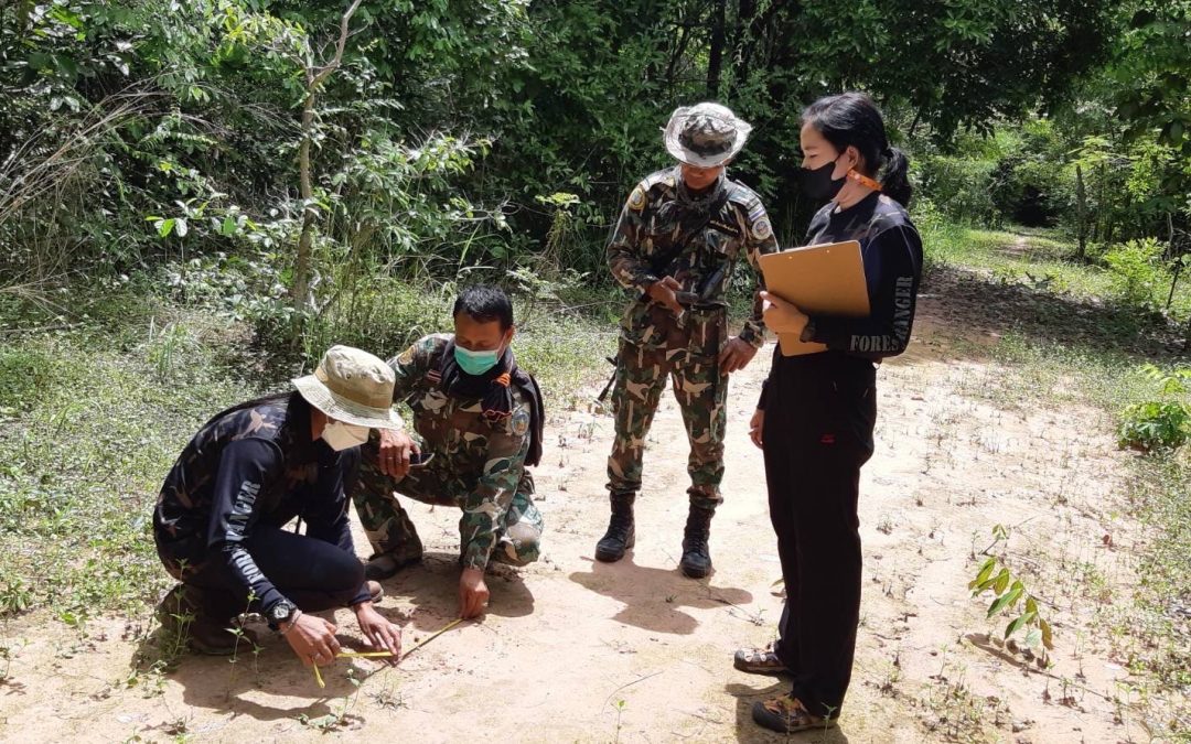 วันที่  20 พฤษภาคม  2565 ขสป.ห้วยทับทัน-ห้วยสำราญ งพื้นที่สำรวจติดตามร่องรอยของป่าที่เข้ามาในพื้นที่ตำบลตาเมียง อำเภอพนมดงรัก จังหวัดสุรินทร์