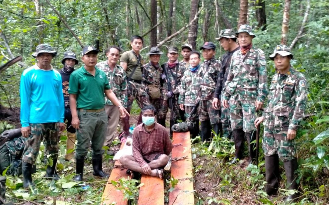 วันที่ 20 สิงหาคม 2565 อุทยานแห่งชาติภูจองนายอย ตรวจยึดจับกุม คดีการกระทำความผิดกฎหมายเกี่ยวกับการป่าไม้