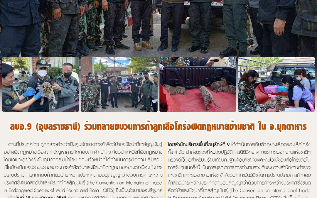 รายงานสถานการณ์ข่าวเด่นประจำวันที่ 15 พฤศจิกายน 2565