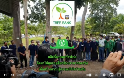 วิธีวัดต้นไม้ให้ได้เงินคาร์บอนเครดิต - ธนาคารต้นไม้ TREE BANK ธ.ก.ส.หนุนสุดๆ