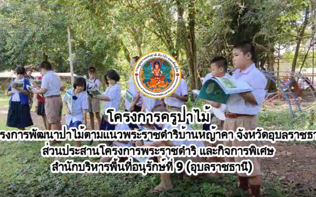โครงการพัฒนาป่าไม้ตามแนวพระราชดำริบ้านหญ้าคา จังหวัดอุบลราชธานี วิดีทัศน์รายงานสรุปผลการดำเนินกิจกรรม “ครูป่าไม้”  ประจำปี 2565
