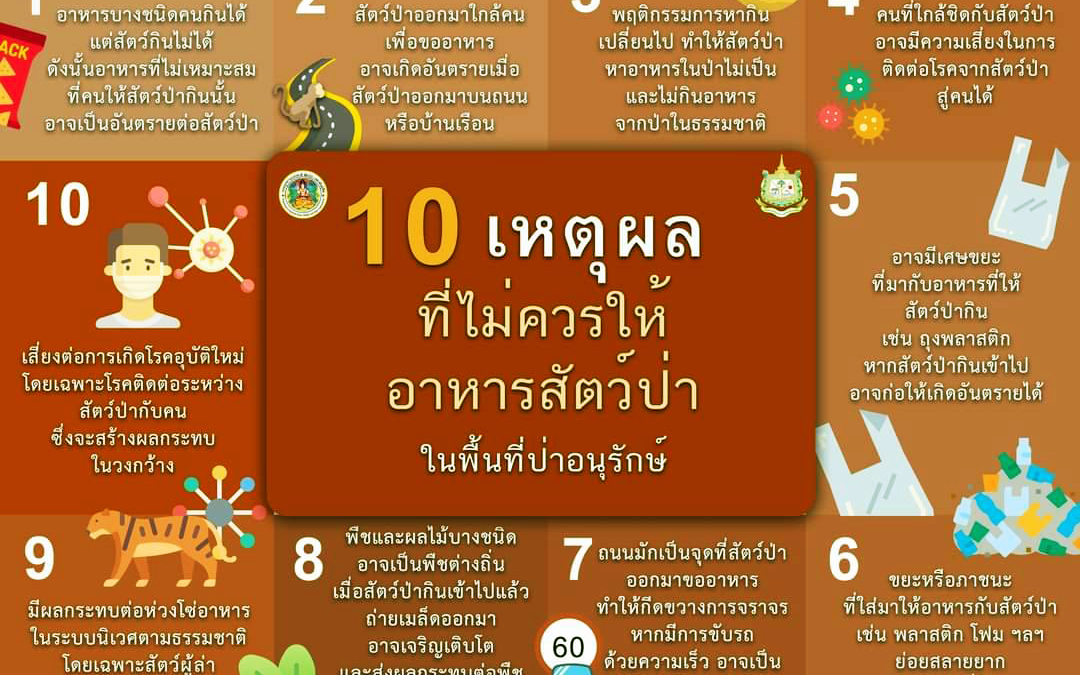 เรื่องควรรู้ “เหตุผลที่ไม่ควรให้อาหารสัตว์ป่า” พฤติกรรมนี้ส่งผลต่อเปลี่ยนแปลงวิถีการดำรงชีวิตตามธรรมชาติของสัตว์ป่าอย่างไร?