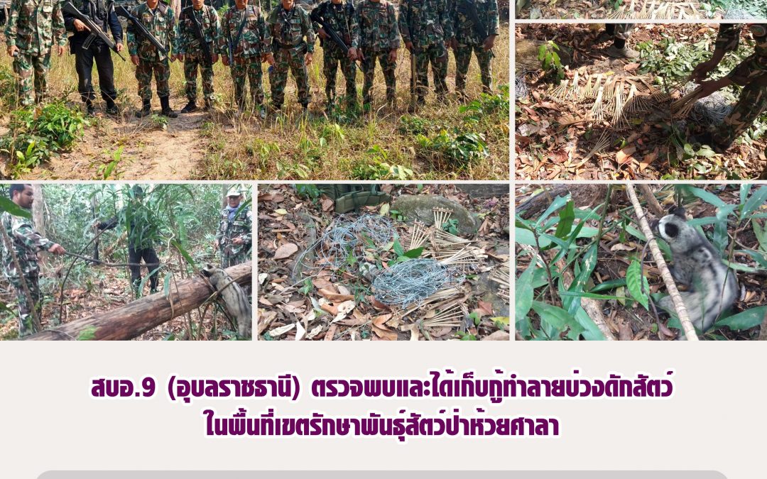 รายงานสถานการณ์ข่าวเด่นประจำวันที่ 15 กุมภาพันธ์ 2566