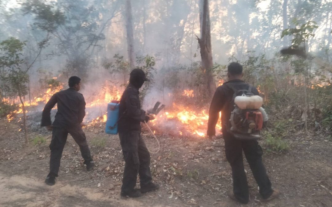 วันที่​ 6​ มีนาคม​ พ.ศ. 2566 สถานีควบคุมไฟป่าห้วยทับทัน-ห้วยสำราญ ตรวจพบไฟป่า​ ครั้งที่ 10/2566