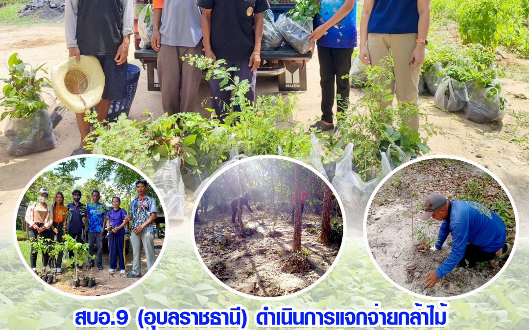 รายงานสถานการณ์ข่าวเด่นประจำวันที่ 1 มิถุนายน 2566