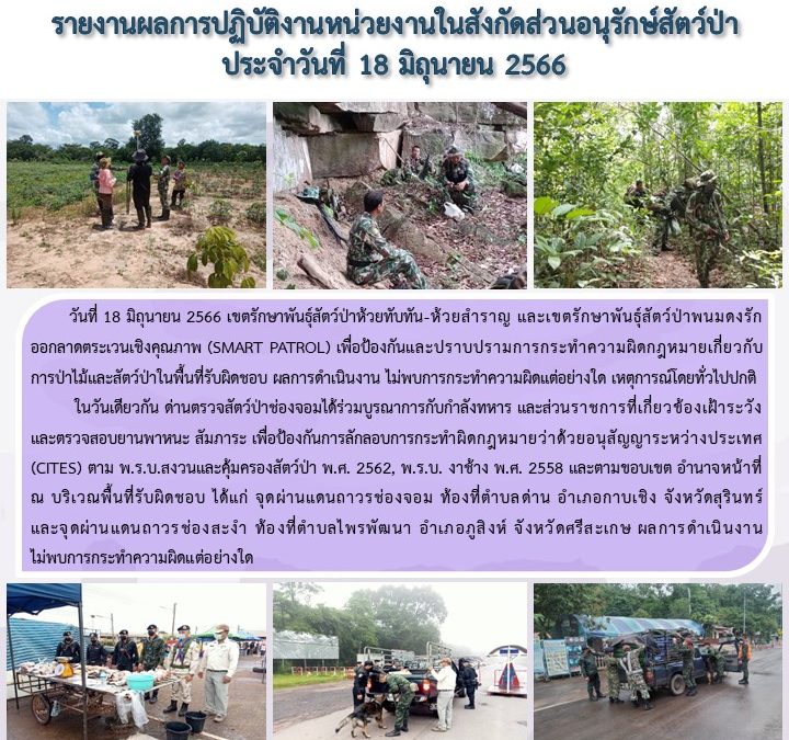 รายงานสถานการณ์ข่าวเด่นประจำวันที่ 18 มิถุนายน 2566