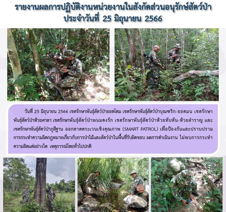 รายงานสถานการณ์ข่าวเด่นประจำวันที่ 25 มิถุนายน 2566