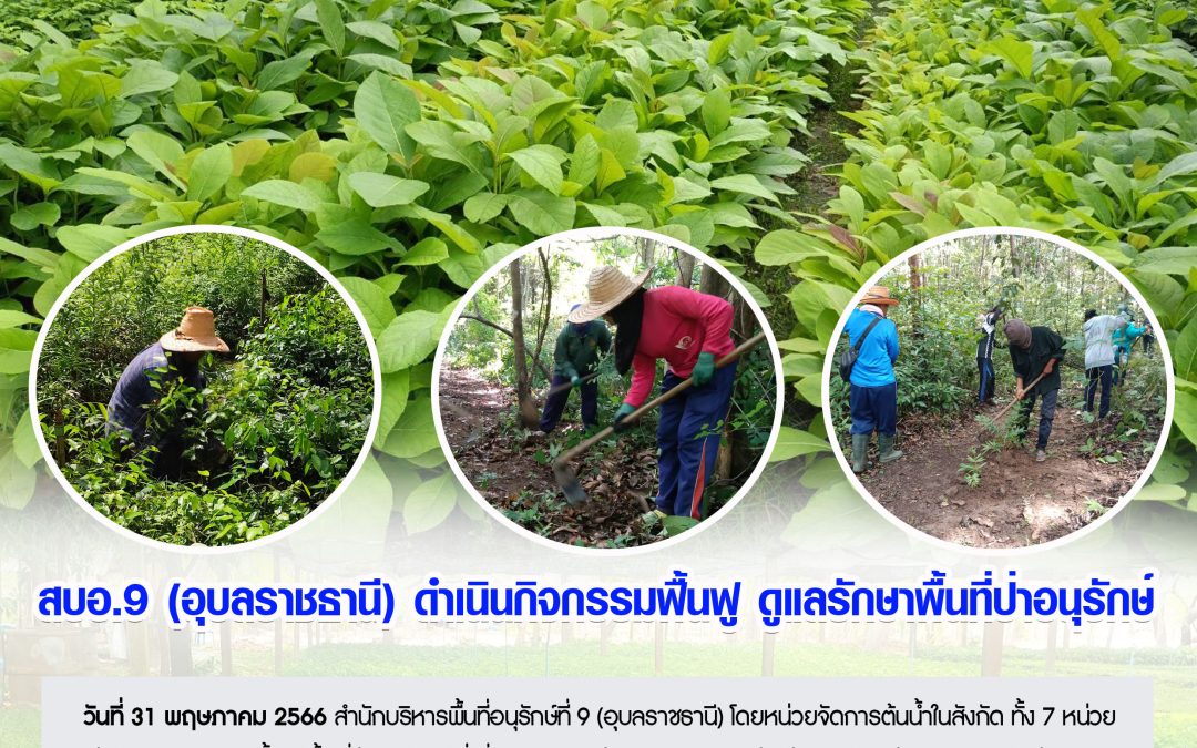รายงานสถานการณ์ข่าวเด่นประจำวันที่ 31 พฤษภาคม 2566