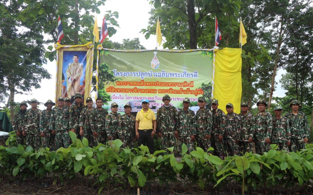 กิจกรรมโครงการปลูกป่าเฉลิมพระเกียรติ พระบาทสมเด็จพระปรเมนทรรามาธิบดี ศรีสินทร มหาวชิราลงกรณ พระวชิรเกล้าเจ้าอยู่หัว เนื่องในวโรกาสวันเฉลิมพระชนมพรรษา 71 พรรษา (28 กรกฎาคม 2566)