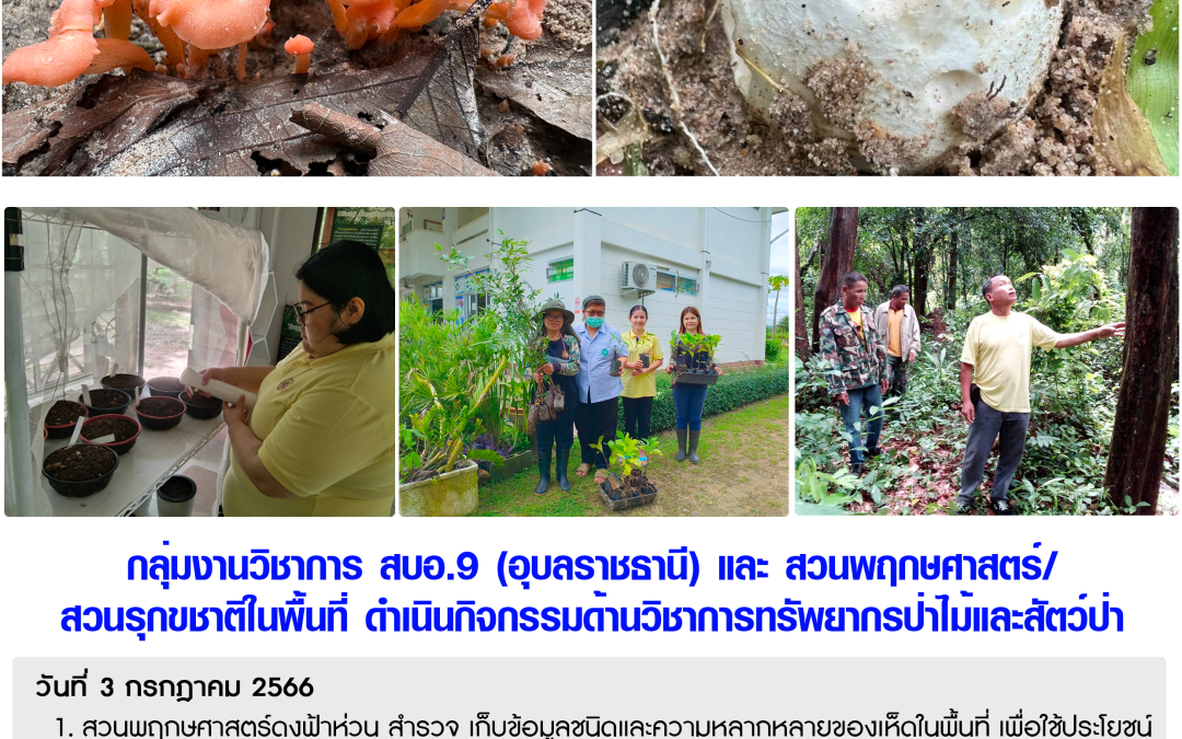 รายงานสถานการณ์ข่าวเด่นประจำวันที่ 3 กรกฎาคม 2566
