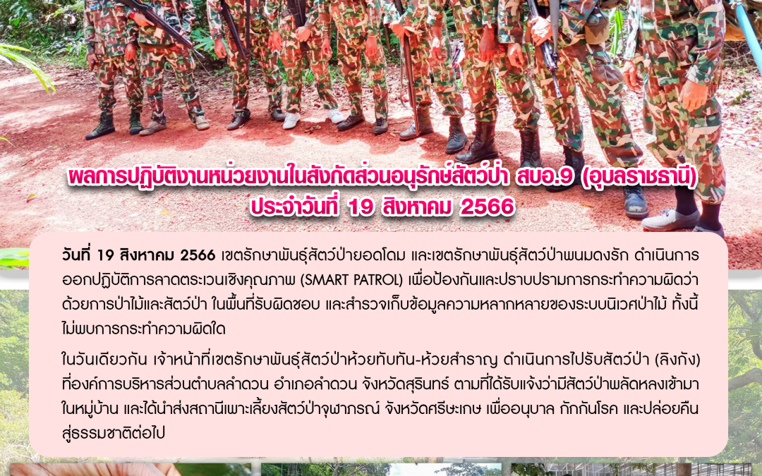 รายงานสถานการณ์ข่าวเด่นประจำวันที่ 19 สิงหาคม 2566