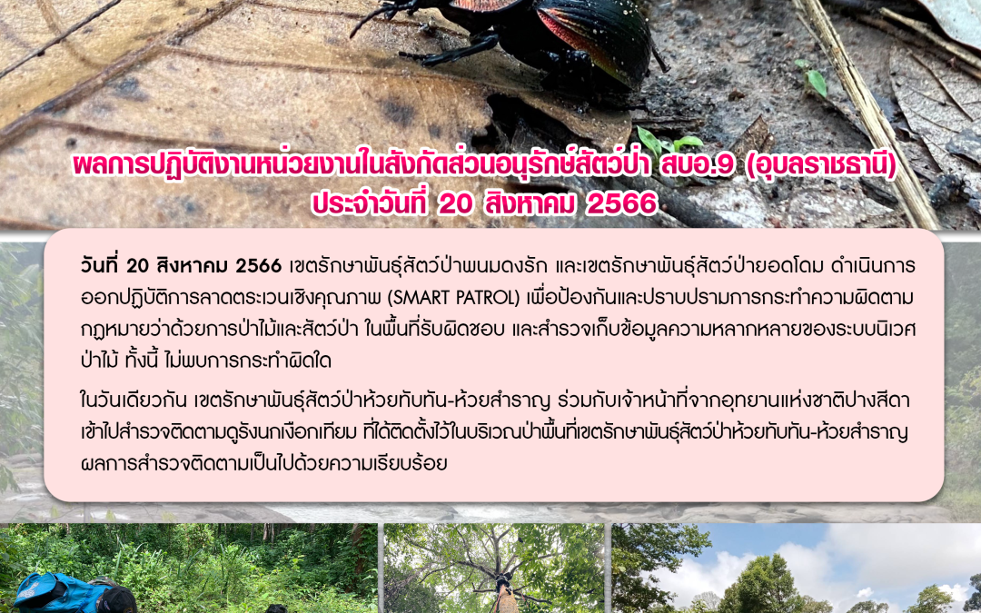 รายงานสถานการณ์ข่าวเด่นประจำวันที่ 20 สิงหาคม 2566