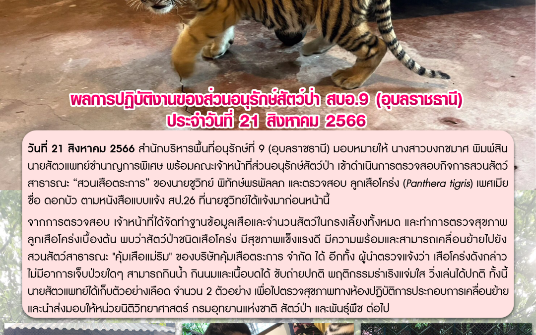 รายงานสถานการณ์ข่าวเด่นประจำวันที่ 21 สิงหาคม 2566