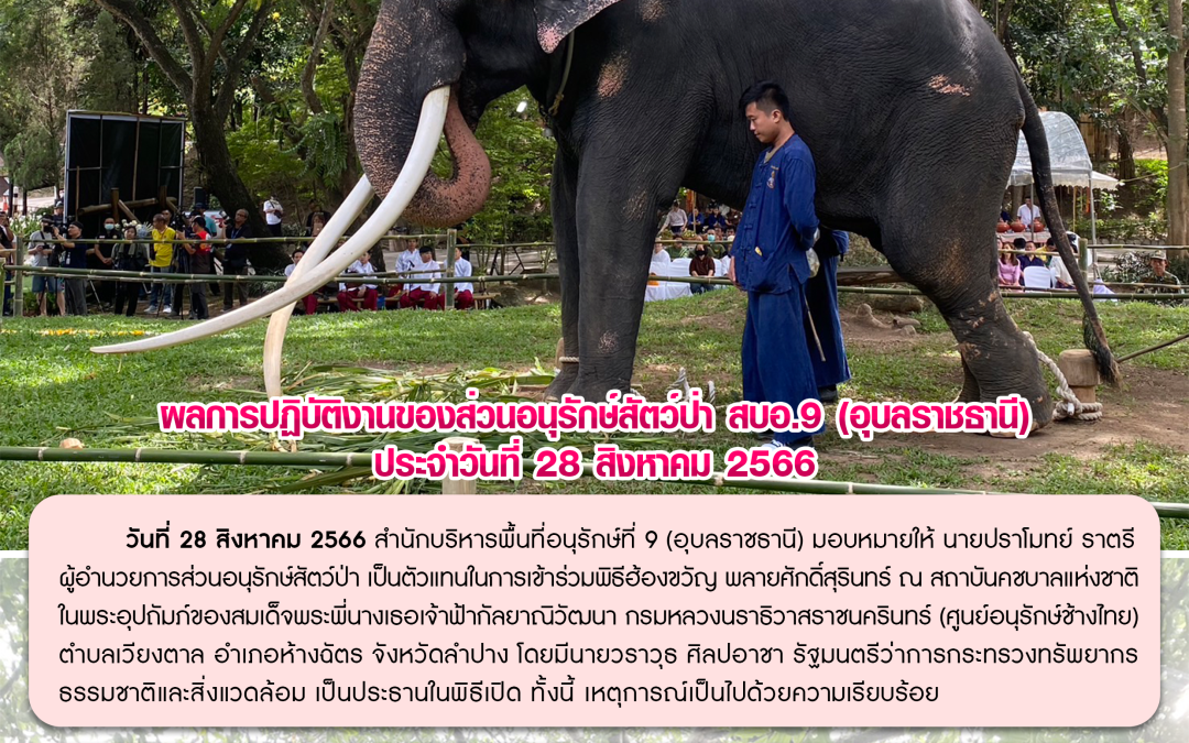 รายงานสถานการณ์ข่าวเด่นประจำวันที่ 28 สิงหาคม 2566