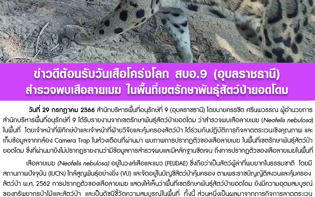 รายงานสถานการณ์ข่าวเด่นประจำวันที่ 29 กรกฎาคม 2566