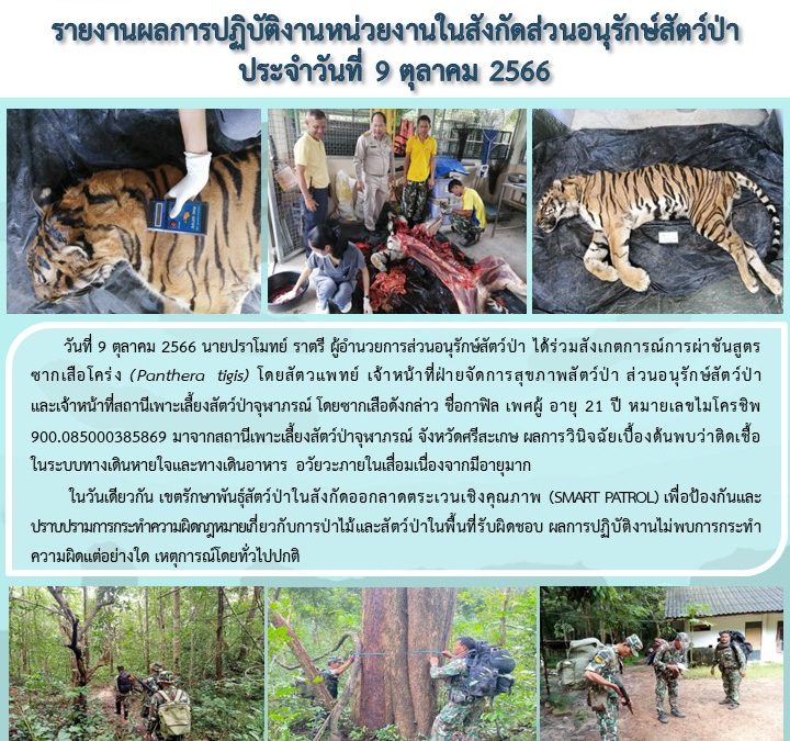 รายงานสถานการณ์ข่าวเด่นประจำวันที่ 9 ตุลาคม 2566