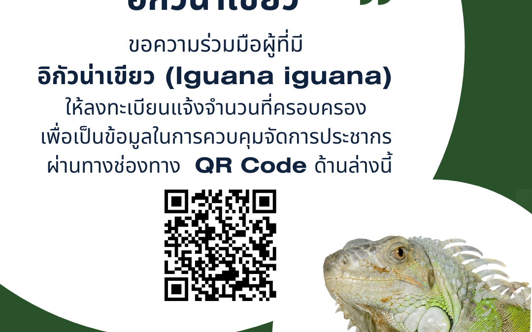 ลงทะเบียนแจ้งจำนวนการครอบครอง “อิกัวน่าเขียว” เพื่อเป็นข้อมูลในการควบคุมจัดการประชากรผ่านช่องทาง QR Code