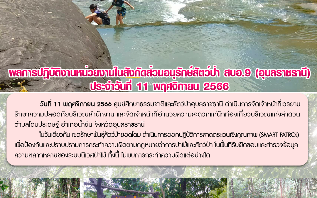 รายงานสถานการณ์ข่าวเด่นประจำวันที่ 11 พฤศจิกายน 2566