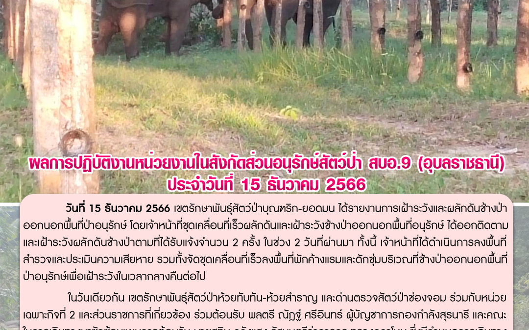 รายงานสถานการณ์ข่าวเด่นประจำวันที่ 15 ธันวาคม 2566