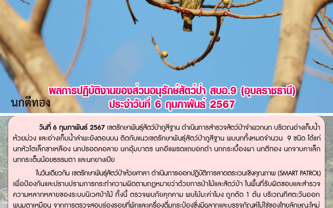 รายงานสถานการณ์ข่าวเด่นประจำวันที่ 6 กุมภาพันธ์ 2567