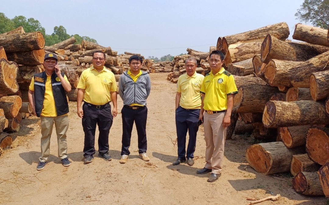 สายตรวจ สบอ.9 สนธิกำลังตรวจสอบไม้ประดู่จำนวนกว่า 2,297 ท่อน และไม้แปรรูปอีกจำนวนมาก