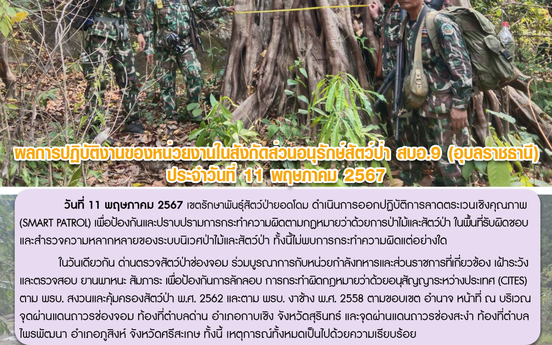 รายงานสถานการณ์ข่าวเด่นประจำวันที่ 11 พฤษภาคม 2567