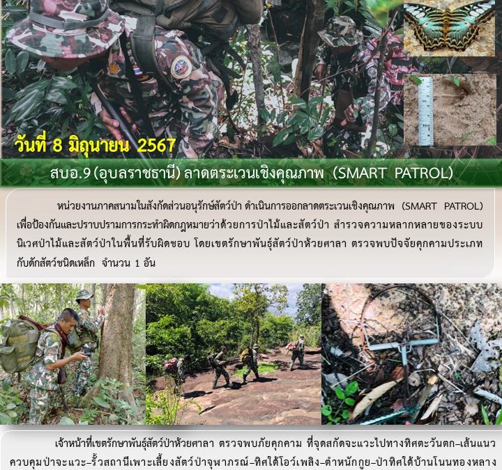 รายงานสถานการณ์ข่าวเด่นประจำวันที่ 8 มิถุนายน 2567