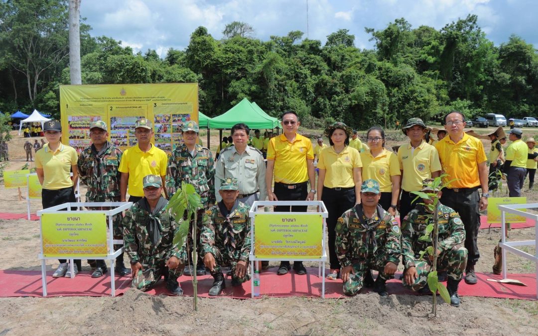 สบอ.9​ (อุบลราชธานี) เข้าร่วม﻿โครงการ 72 ล้านต้น พลิกฟื้นฝืนป่า เฉลิมพระเกียรติพระบาทสมเด็จพระเจ้าอยู่หัว เนื่องในโอกาสพระราชพิธีมหามงคลเฉลิมพระชนมพรรษา 6 รอบ 28 กรกฎาคม 2567 ณ วิทยาลัยเทคโนโลยีหลวงปู่สรวงวัดไพรพัฒนา จังหวัดศรีสะเกษ