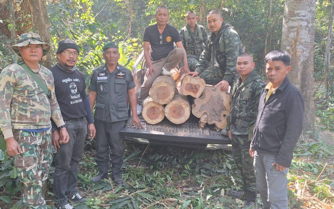เขตรักษาพันธุ์สัตว์ป่าห้วยทับทัน-ห้วยสำราญ และหน่วยงานภายนอก ร่วมกันตรวจยึดไม้พะยูงของกลาง ในพื้นที่จังหวัดสุรินทร์