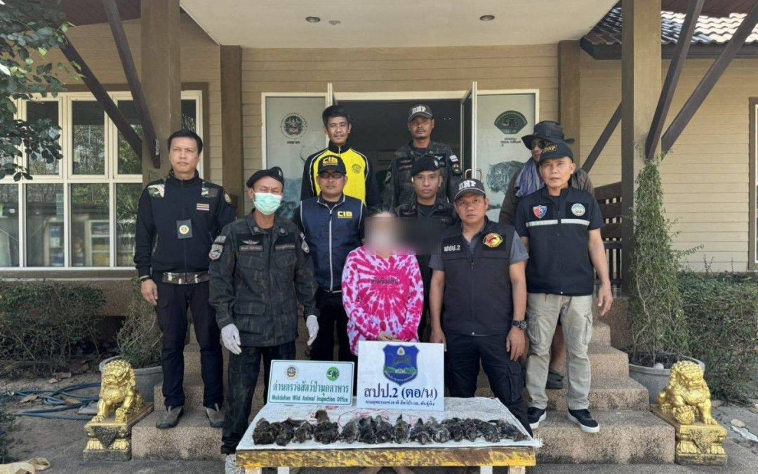 เจ้าหน้าที่ในสังกัด สบอ.9 (อุบลราชธานี) ร่วมกันออกตรวจปราบปรามการกระทำผิดกฎหมายว่าด้วยการป่าไม้และสัตว์ป่า