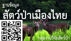 ระบบฐานข้อมูลสัตว์ป่าเมืองไทย